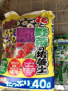 120331midori.jpg