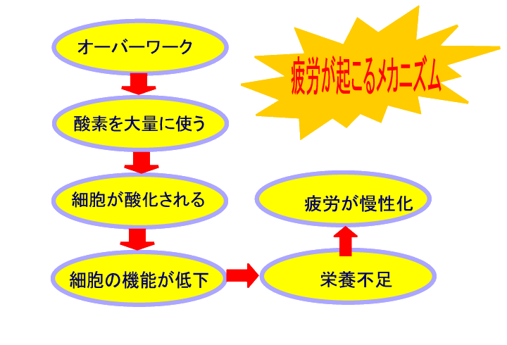 メルマガ.gif