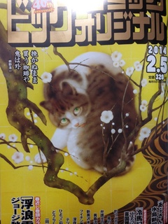 ビッグコミック140121.jpg