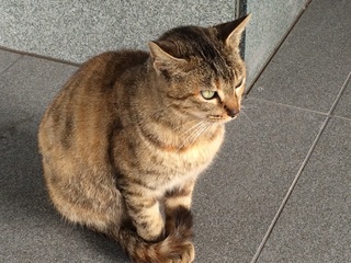 Öê@—I‹v‰‘@”L150226.jpg